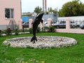  Черный дельфин : колония без воровских законов