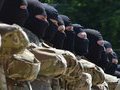 Замначальника Росгвардии ДНР Александр Ходаковский мог приложить руку к возвращению главарей  Азова *