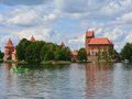 Почему Василий II отказался поддержать  прорусскую  партию в Литве