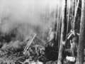 Битва в Хюртгенском лесу: самое долгое сражение для армии США
