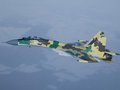 Индонезия рассказала о  невероятном давлении  США из-за оружейной сделки с Россией