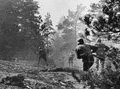 Оборона Ханко: пять месяцев под огнем финнов и немцев