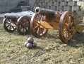 Чудо-оружие русских:  единороги , поразившие европейцев