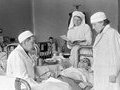  Сон мог длиться месяцами : как летаргический энцефалит захватил Европу и СССР