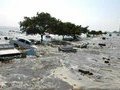Самое сильное землетрясение в 21 веке: что произошло в 2004 году в Индийском океане
